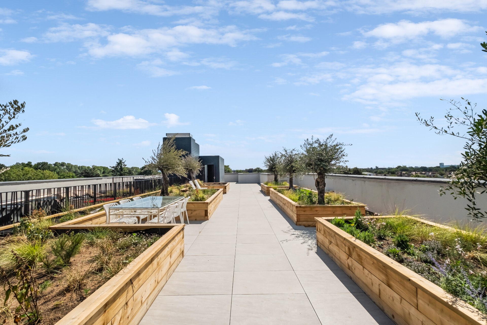 Communal rooftop terrace